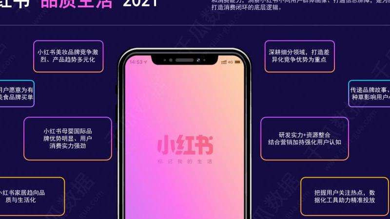 WhatsApp大陆用户的使用趋势和特点