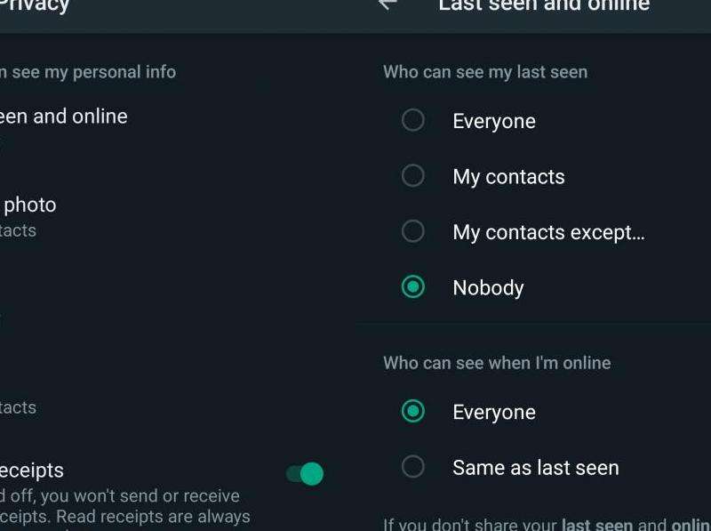 WhatsApp在线状态上啥意思？